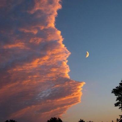 大发彩票app下载手机版